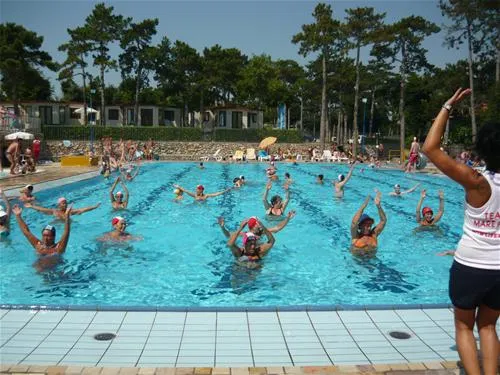 camping-mare-pineta-baia-sistiana-sistiana-duino-ycyzc