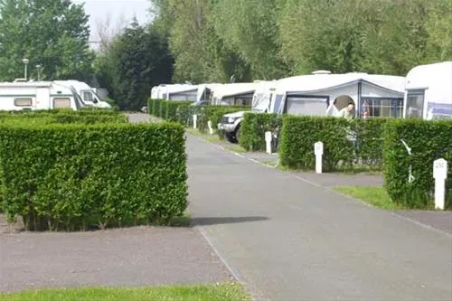 camping-zilvermeeuw-knokkeheist-2wqfe