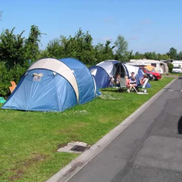 camping-zilvermeeuw-knokkeheist-yez5s