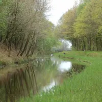 camping-het-koningsdiep-ureterp-4tagk