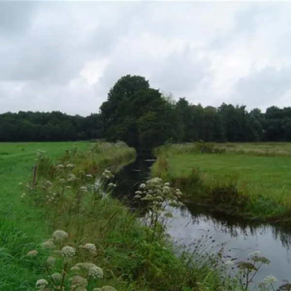 camping-het-koningsdiep-ureterp-4z6dh