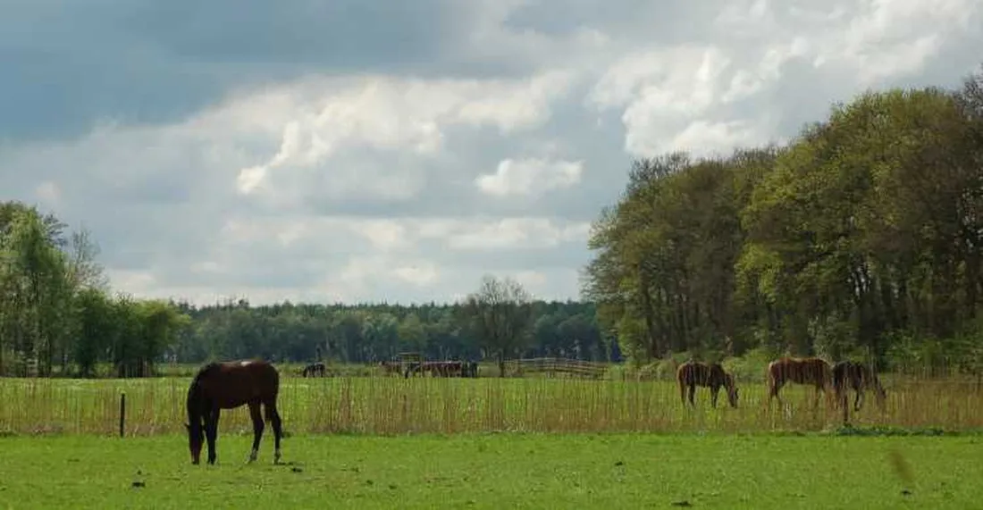 camping-het-koningsdiep-ureterp-keg7d