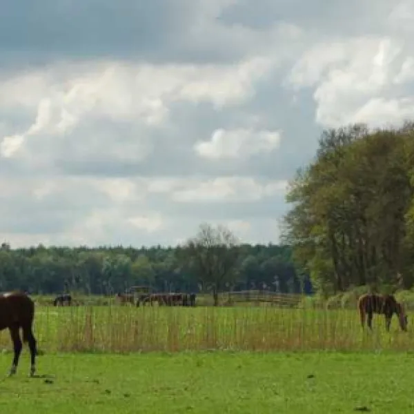 camping-het-koningsdiep-ureterp-keg7d