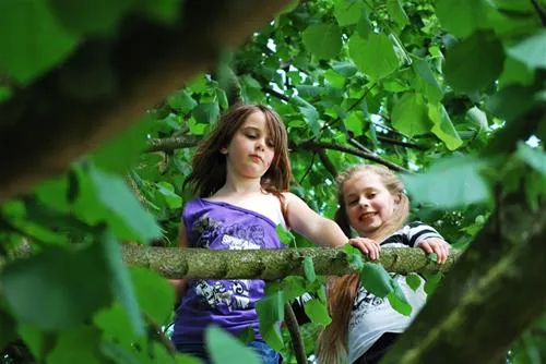 camping-het-koningsdiep-ureterp-zoi5t