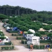 le-saint-martin-moliets-plage-kizlm