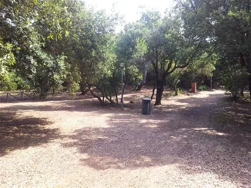 campeggio-internazionale-di-castelfusano-lido-di-ostia-3ifbx