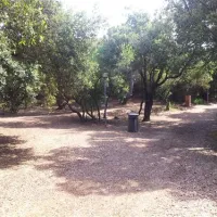 campeggio-internazionale-di-castelfusano-lido-di-ostia-3ifbx