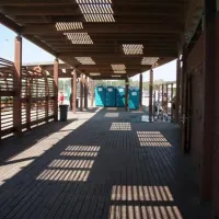 campeggio-internazionale-di-castelfusano-lido-di-ostia-7ajx6