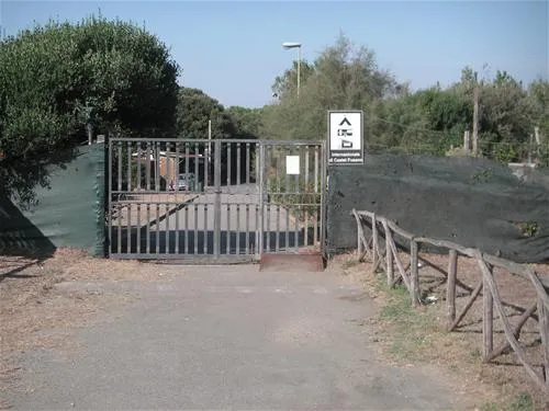 campeggio-internazionale-di-castelfusano-lido-di-ostia-dhcch