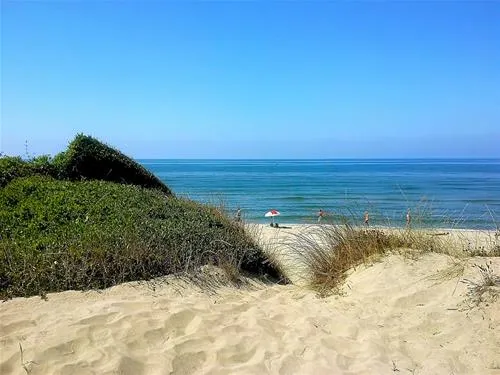 campeggio-internazionale-di-castelfusano-lido-di-ostia-eopzf
