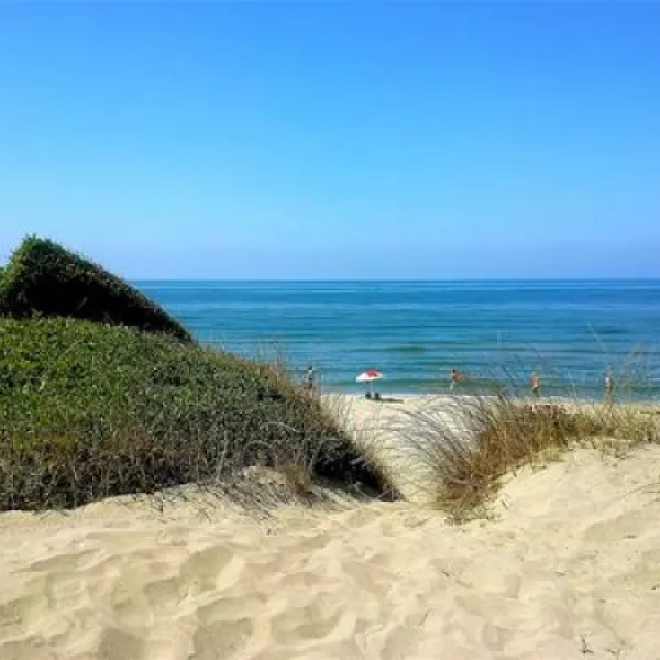 campeggio-internazionale-di-castelfusano-lido-di-ostia-eopzf