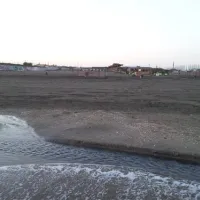 campeggio-internazionale-di-castelfusano-lido-di-ostia-fpa3b