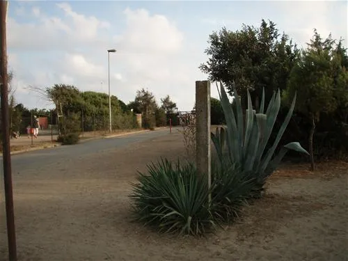 campeggio-internazionale-di-castelfusano-lido-di-ostia-h3idt