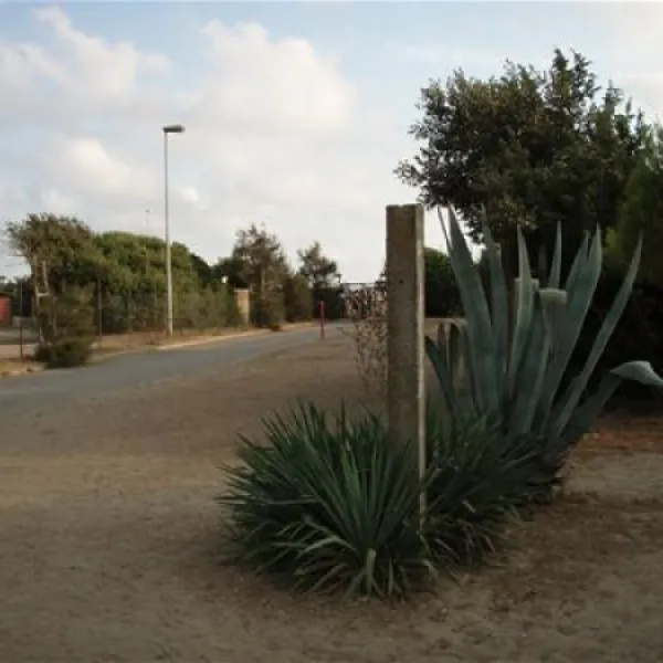 campeggio-internazionale-di-castelfusano-lido-di-ostia-h3idt