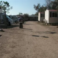 campeggio-internazionale-di-castelfusano-lido-di-ostia-hqwl5