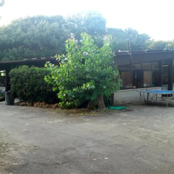 campeggio-internazionale-di-castelfusano-lido-di-ostia-ocirk