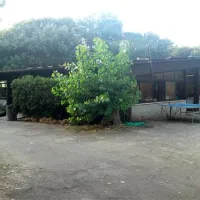 campeggio-internazionale-di-castelfusano-lido-di-ostia-ocirk