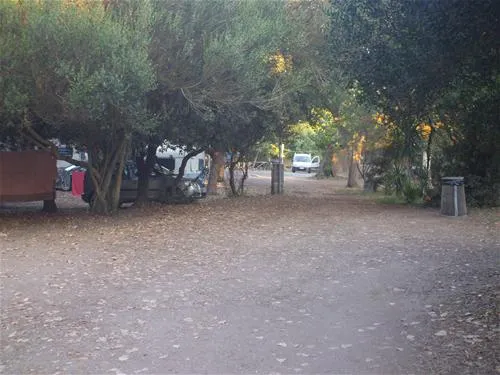 campeggio-internazionale-di-castelfusano-lido-di-ostia-q2dhl
