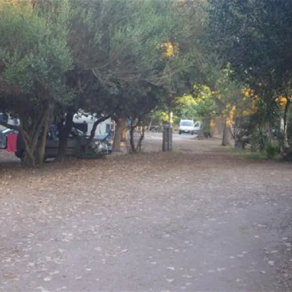 campeggio-internazionale-di-castelfusano-lido-di-ostia-q2dhl