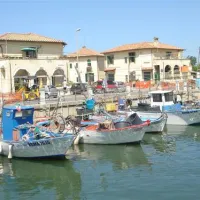 campeggio-internazionale-di-castelfusano-lido-di-ostia-zf7ih