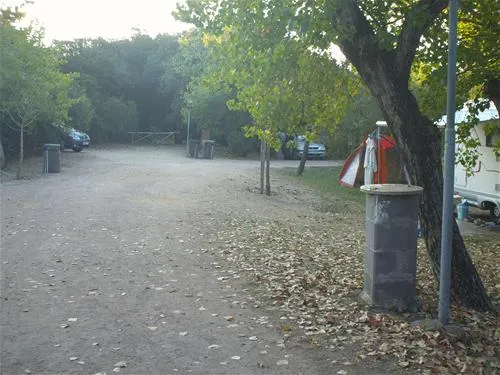 campeggio-internazionale-di-castelfusano-lido-di-ostia-zqsid