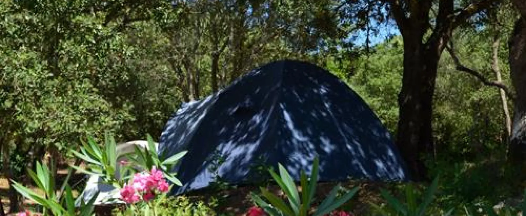 Camping U Libecciu