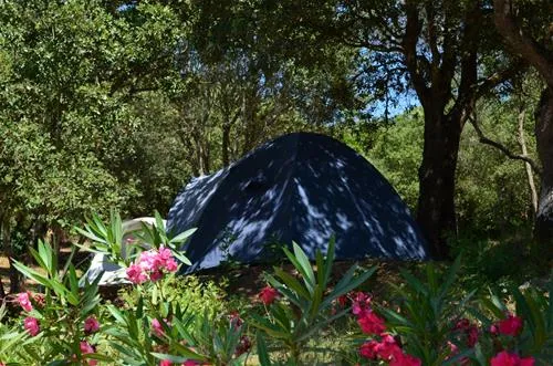 camping-u-libecciu-olmeto-hbsze