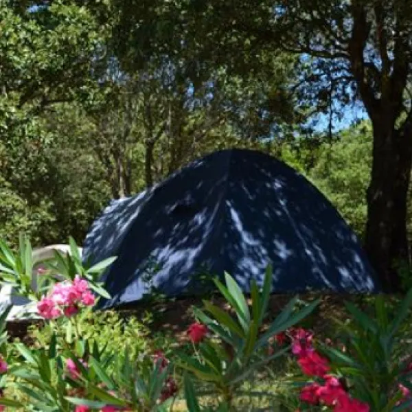 camping-u-libecciu-olmeto-hbsze