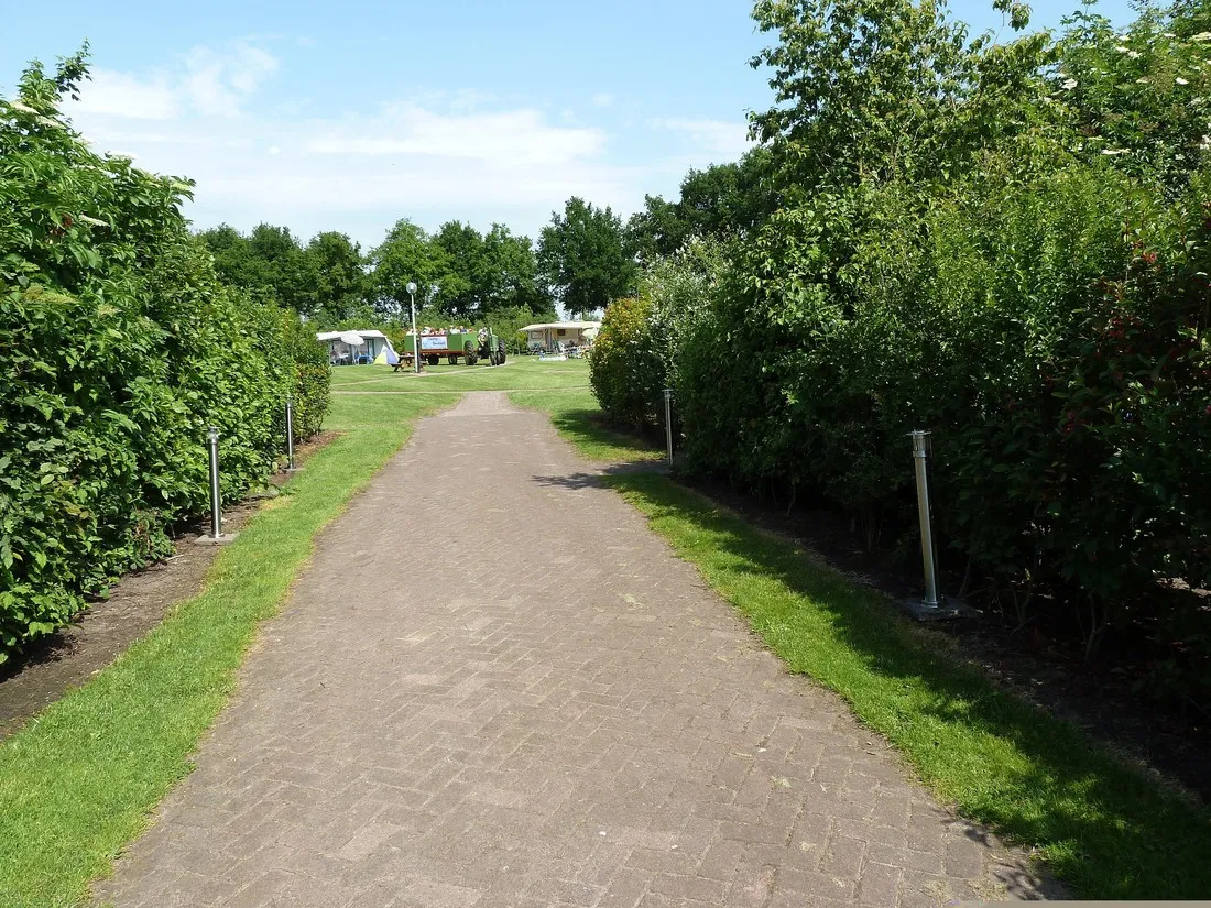 boerenbont-vlagtwedde-y1lx9