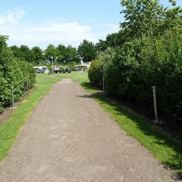 boerenbont-vlagtwedde-y1lx9