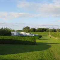 camping-am-alten-seedeich-hedwigenkoog-jfgeh