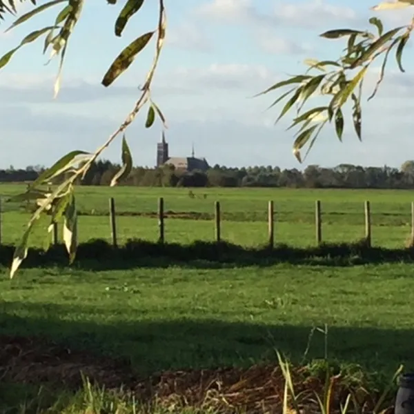 demmerik-vinkeveen-uwjro