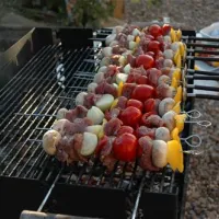 camping-zorza-poranna-swierzawa-68lgl