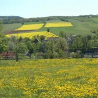 camping-zorza-poranna-swierzawa-cbnho