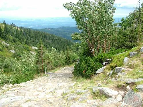 camping-zorza-poranna-swierzawa-rephk
