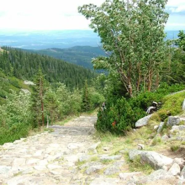 camping-zorza-poranna-swierzawa-rephk