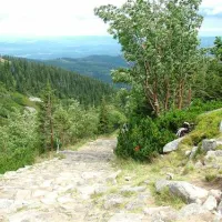 camping-zorza-poranna-swierzawa-rephk