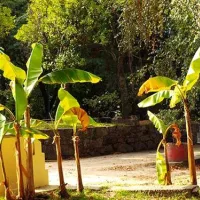 CAMPING BRAGA
