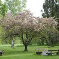 camping-am-pilsensee-seefeld-q1hnu