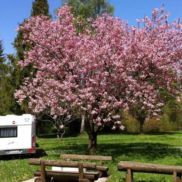 camping-am-pilsensee-seefeld-qcfll