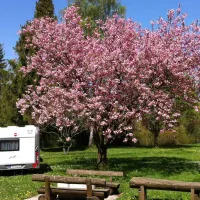 Camping am Pilsensee