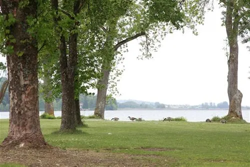 camping-am-pilsensee-seefeld-rthi0