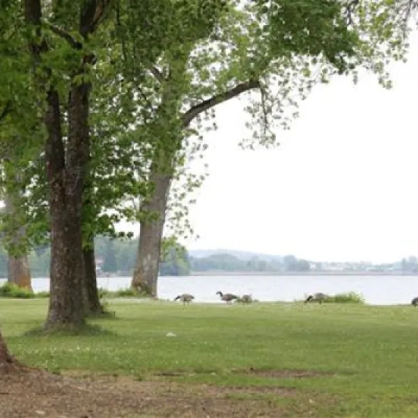 camping-am-pilsensee-seefeld-rthi0