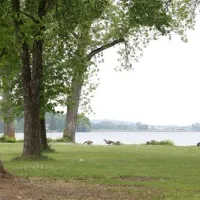 camping-am-pilsensee-seefeld-rthi0