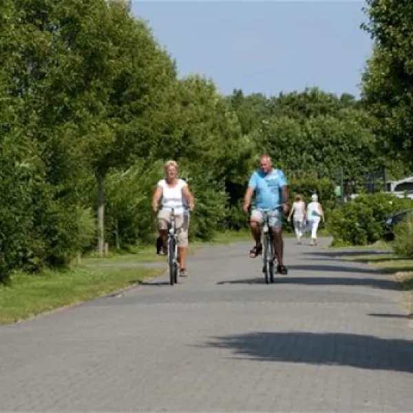 molecaten-park-wijde-blick-renesse-nap9f