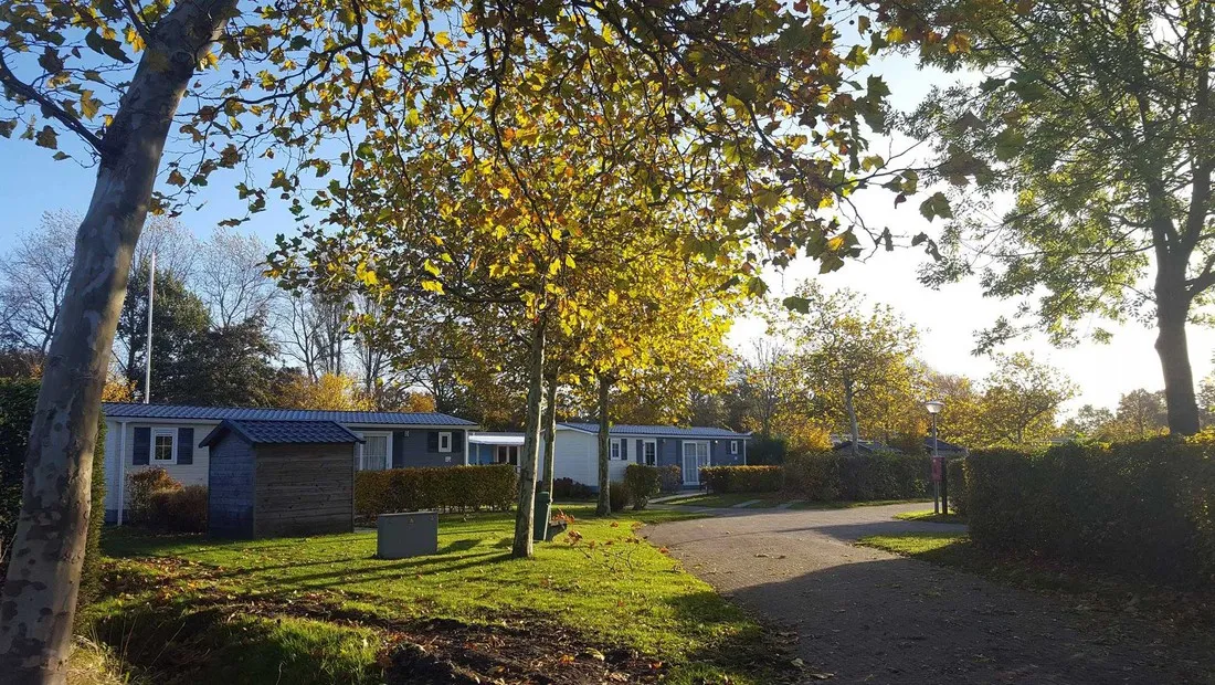 molecaten-park-wijde-blick-renesse-vg3nz