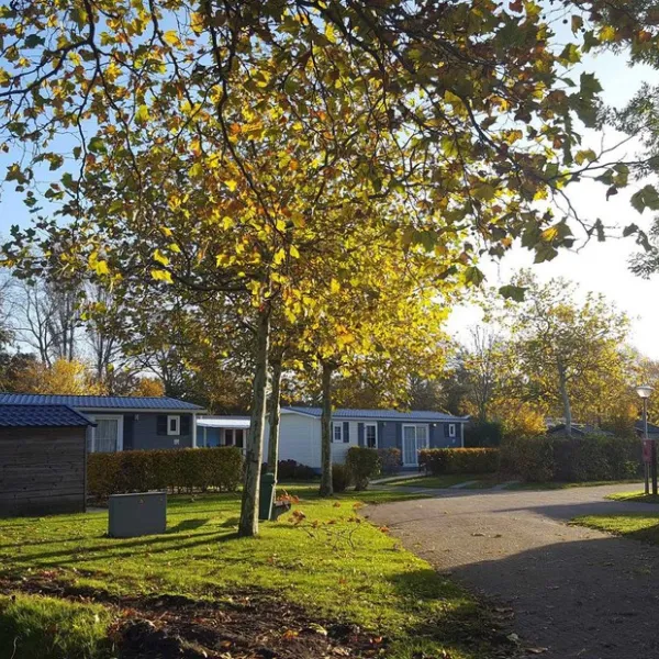molecaten-park-wijde-blick-renesse-vg3nz