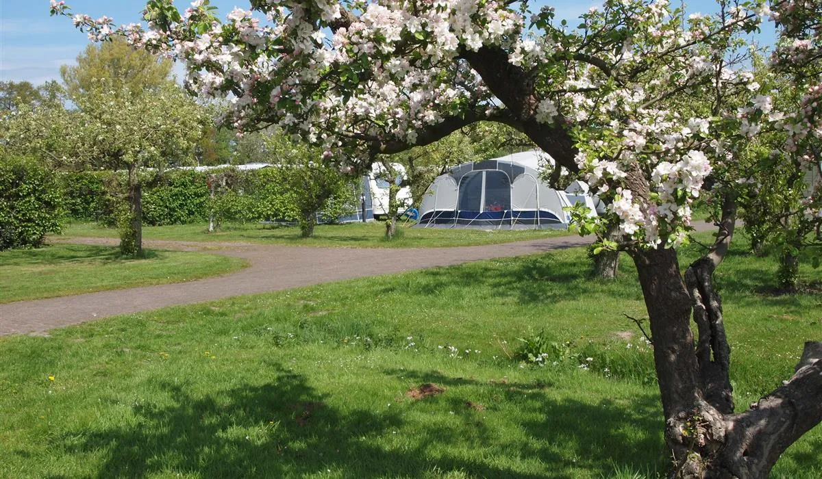 molecaten-park-wijde-blick-renesse-x4uea