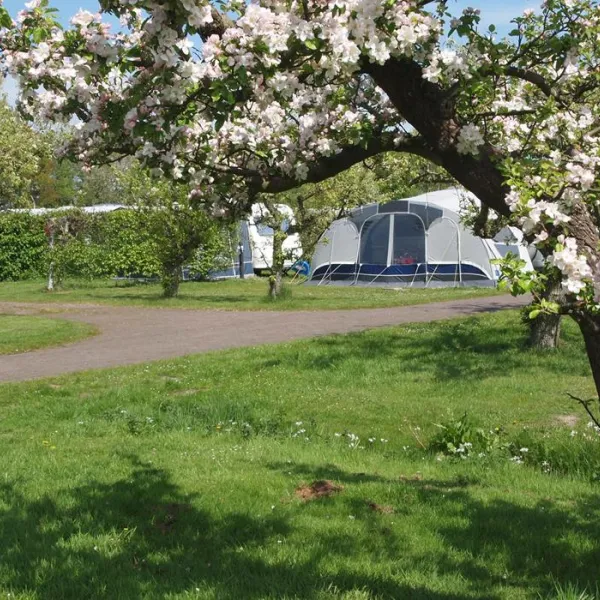molecaten-park-wijde-blick-renesse-x4uea