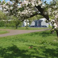 Molecaten Park Wijde Blick